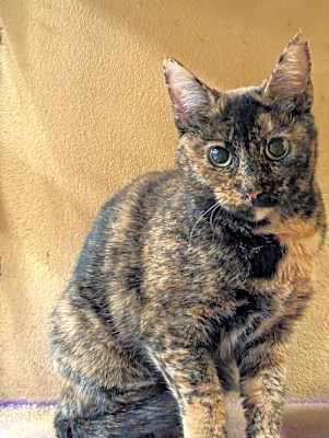 Photo of Marmie #image
