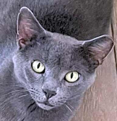 Photo of Little Grey - Beautiful Boy #image