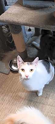 Photo of Layna #image