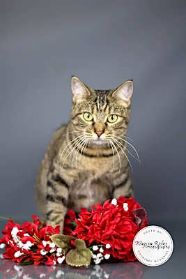 Photo of Prissy #image