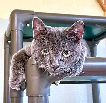 Photo of Danny Boy #image