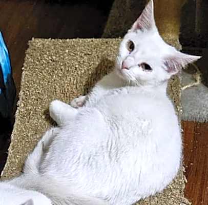 Photo of Snow White #image