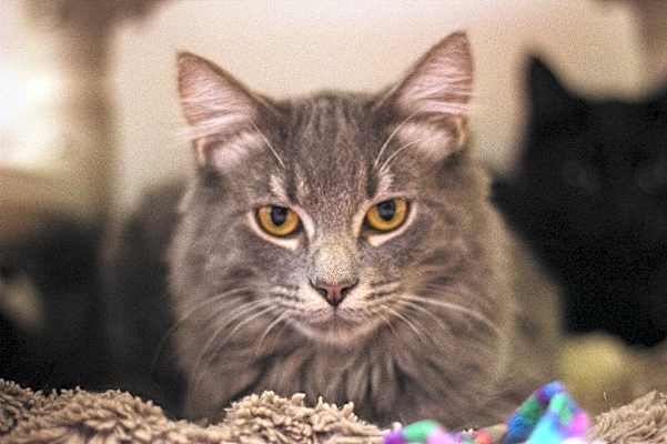 Photo of Jasper #image