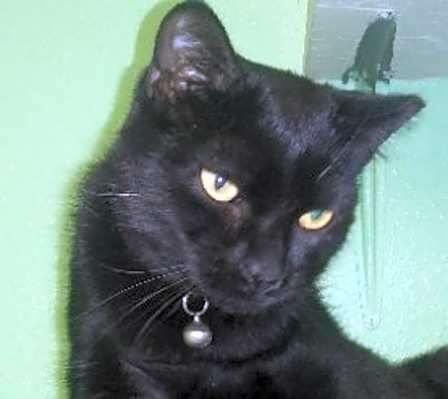 Photo of Severus #image