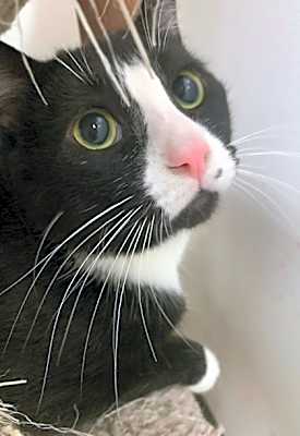 Photo of Boots Zander #image