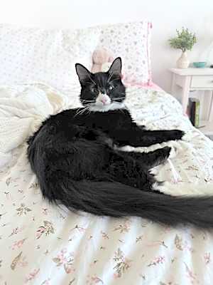 Photo of Sasha #image