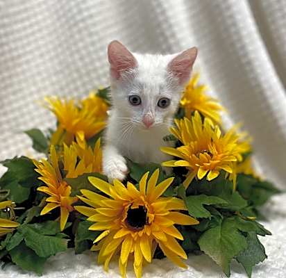 Photo of Sally #image