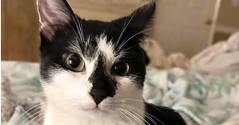 Photo of Molly #image