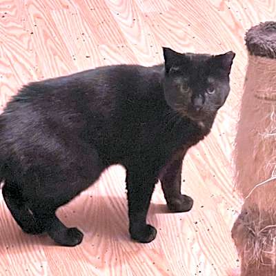 Photo of Sonnie #image