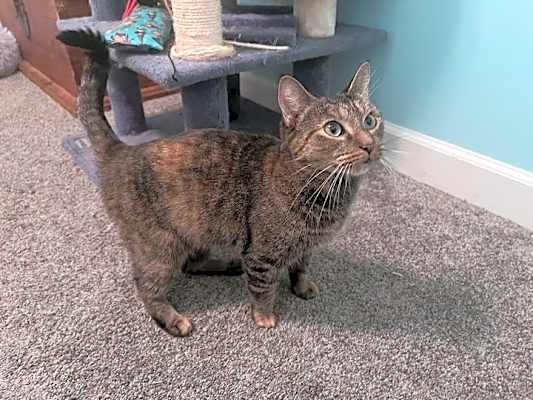 Photo of Jazzy #image