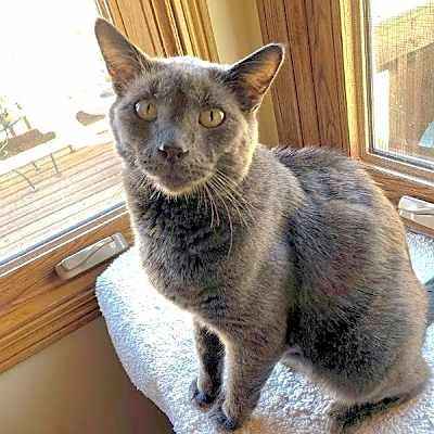 Photo of Petey #image