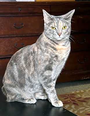 Photo of Penelope #image