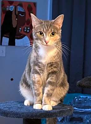 Photo of Eloise #image