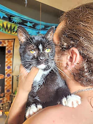 Photo of Elvira #image