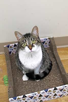 Photo of Ellie Mae #image