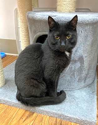 Photo of Larry #image