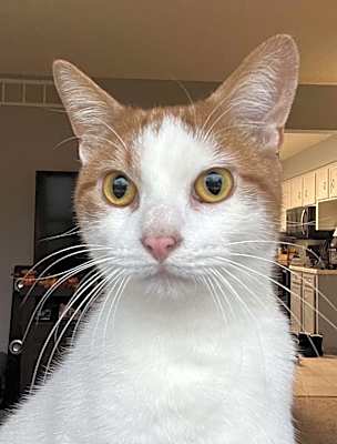 Photo of Vinny #image