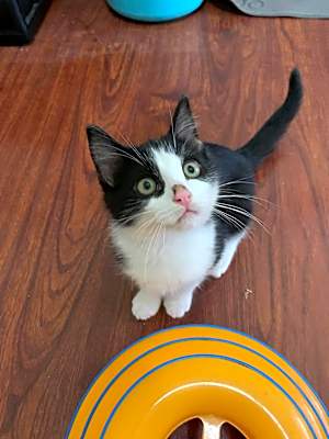 Photo of Oliver #image