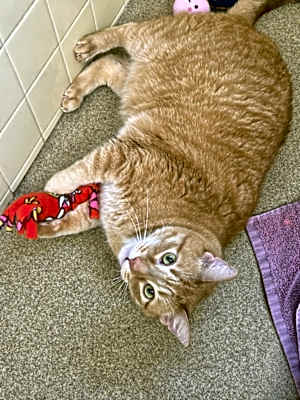 Photo of Jack #image