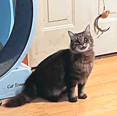 Photo of Tinkerbelll #image