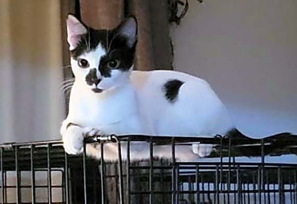 Photo of Stella #image