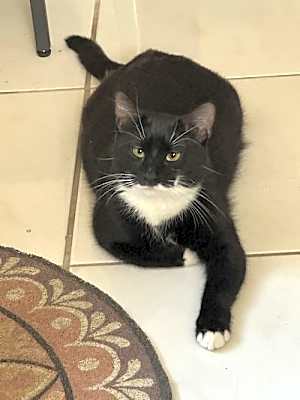Photo of Maggie #image