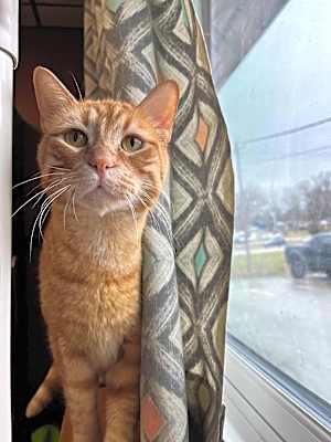 Photo of Templeton #image