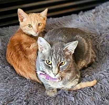 Photo of Maci and Alejandro #image