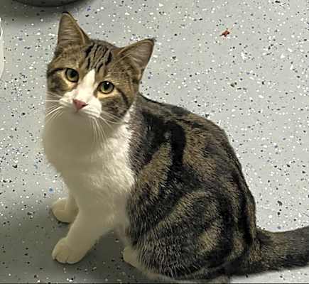 Photo of Kit'N #image