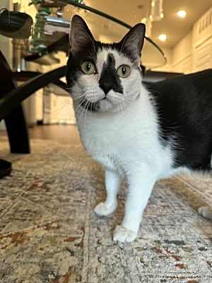 Photo of Lola #image