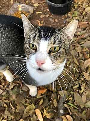 Photo of Lola #image