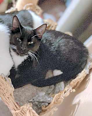 Photo of Sadie #image