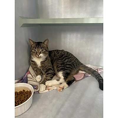 Photo of Trudy #image