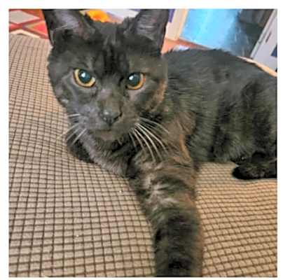 Photo of Effie #image