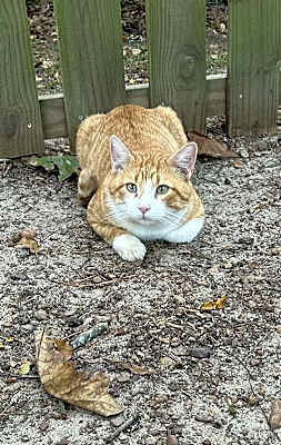 Photo of Buster #image