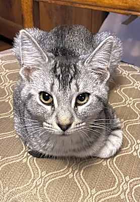 Photo of Everly #image