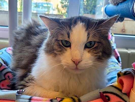 Photo of Reggie #image