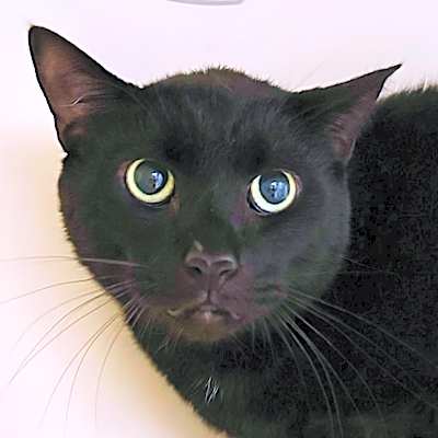 Photo of Jet #image