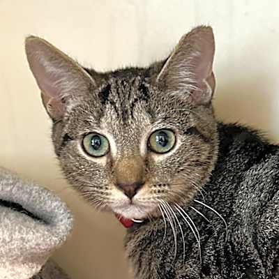 Photo of Tilly #image