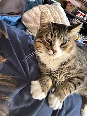 Photo of Charlie #image