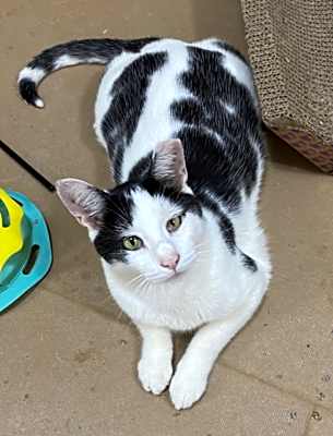 Photo of Oliver #image