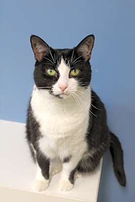 Photo of Spunky #image