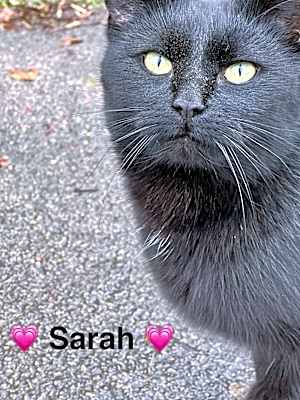 Photo of Sarah #image
