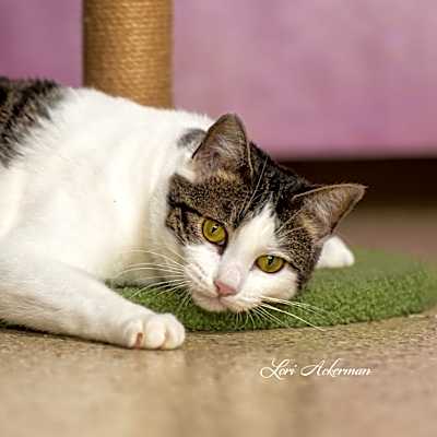 Photo of Yadira #image
