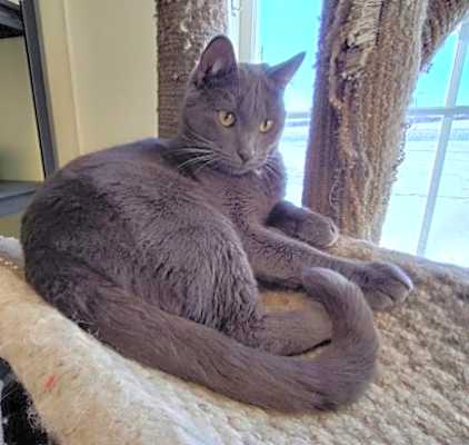 Photo of Gino #image