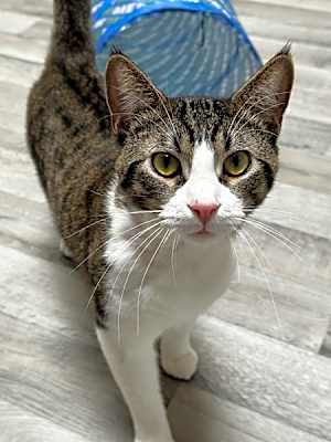 Photo of Junior #image