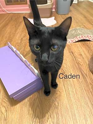 Photo of Caden #image