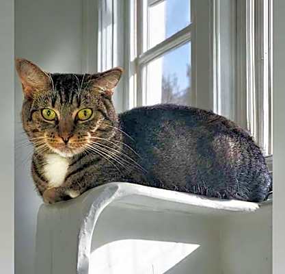 Photo of Winnie #image