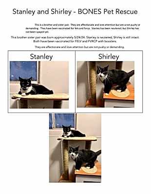 Photo of Shirley + Stanley #image