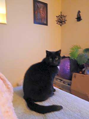 Photo of Diesel (DC) #image